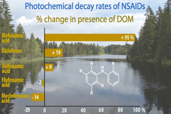 Photochemical decay rates of NSAIDs