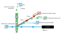 Principe de la cytométrie en flux 