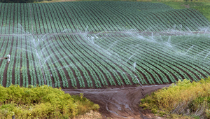 Au niveau mondial, les États-Unis sont le plus grand exportateur de produits agricoles et de ce fait également d’eau virtuelle. La photo montre un champ irrigué en Californie. (Photo : Flickr)