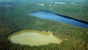 Flache Seen, die trotz zumehmender Nährstoffzufuhr jahrelang klar bleiben, dann aber plötzlich trüb werden, sind ein klassisches Beispiel für Kipp-Punkte von Ökosystemen. (Foto: International Institute for Sustainable Development IISD – Experimental Lakes Area ELA, Kanada)