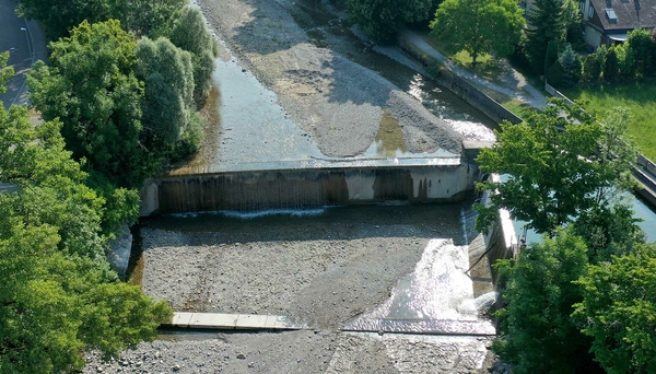 Ostacoli come il Müllerschwelle nello Zulg a Steffisburg impediscono o impediscono la migrazione dei pesci. La legge sulla protezione delle acque stabilisce che tali ostacoli devono essere risanati e resi transitabili per i pesci. Il Comune di Steffisburg ha iniziato a ristrutturare il Müllerschwelle nel settembre 2023 per migliorare la connettività longitudinale dello Zulg.  (Foto: Comune di Steffisburg, Mark van Egmond)