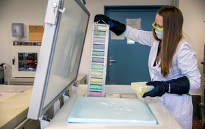 Tiefgefrorene Abwasserproben erlauben auch spätere Analysen, sofern dazu erst neue Verfahren erforscht werden müssen. (Foto: Eawag, Esther Michel)