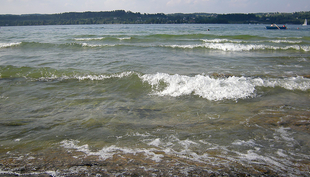 Si l'eau du lac est filtrée par des filtres à sable, les microplastiques qui s'y trouvent seraient efficacement retenus. Lac de Zurich. (Photo : Andri Bryner, Eawag)