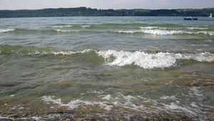 Wird Seewasser über Sandfilter filtriert würde darin vorhandenes Mikroplastik effizient zurückgehalten. Zürichsee. (Bild: Andri Bryner, Eawag)
