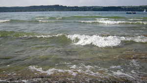 Si l'eau du lac est filtrée par des filtres à sable, les microplastiques qui s'y trouvent seraient efficacement retenus. Lac de Zurich. (Photo : Andri Bryner, Eawag)