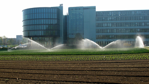 Avec l'irrigation intensive, il y a un risque que des nutriments et des pesticides pénètrent dans les eaux souterraines. (Photo: Andri Bryner, Eawag)