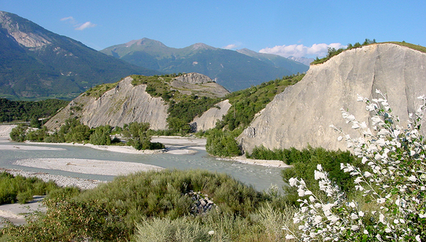 Élargissement de l'île de Falcon sur le Rhône près de Sierre, dans le canton du Valais (Photo: Christine Weber, Eawag)