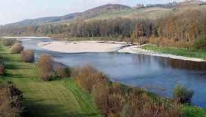 Les crues et étiages et l’élargissement du lit des rivières corrigées influent sur les processus d’infiltration et d’exfiltration qui se déroulent entre les cours d’eau et les nappes phréatiques. Sur ces deux photos, la Thur. 