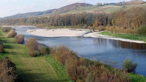 	Hoch- und Niederwasser oder Aufweitungen von korrigierten Gerinnen beeinflussen die In- und Exfiltrationsprozesse zwischen Fluss- und Grundwasser. 