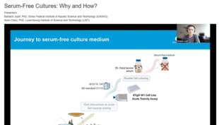 serum-free medium for fish cells - print screen webinar