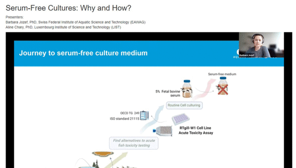 Serumfreies Medium für Fischzellen - Print Screen Webinar