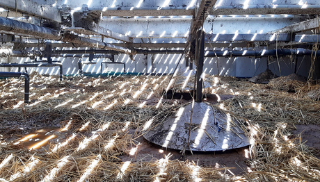 Vermifiltro a Ginevra (Foto: Kayla Coppens, Eawag).