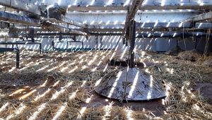 Vermifilter in Geneva, Switzerland (Photo: Kayla Coppens, Eawag)