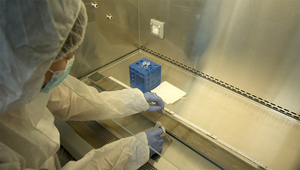 DNA sampling from a sediment core in the safe lab (Photo: Peter Penicka, Eawag)