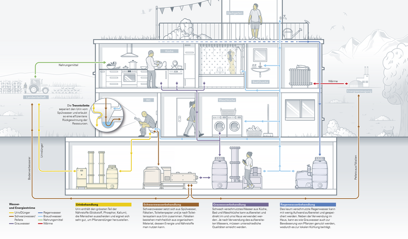Ressourcenkreislauf am Beispiel eines Gebäudes: Die Abwasserströme werden an der Quelle getrennt, die gewonnenen Ressourcen wiederverwendet (Infografik: Daniel Röttele/ infografik.ch) Grafik anklicken zum Vergrössern