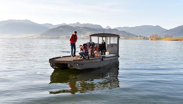 Prélèvements au lac de Sihl. (Photo : CFF)