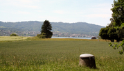 Durch die neuen Aufgaben im Grund- bzw. Trinkwasserschutz sind Kantone und Gemeinden stark gefordert. (Foto: Wikimedia, Adrian Michael)