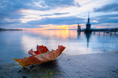 Photo: David Witte/Shutterstock