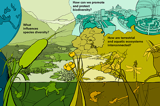 Graphic: Stefan Scherrer, Eawag