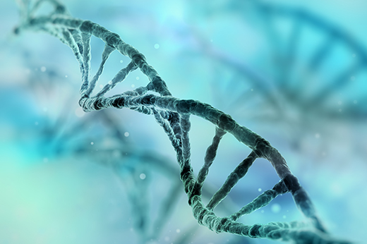 Foto: istock