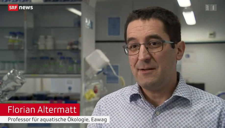 Foto: Screenshot SRF