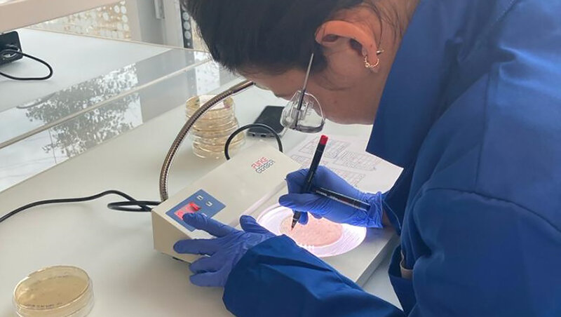 Foto: Natacha Tofield-Pasche, EPFL