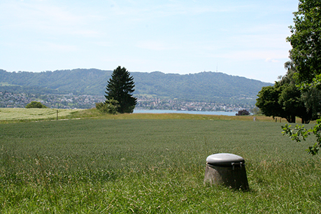 Foto: Wikimedia, Adrian Michael