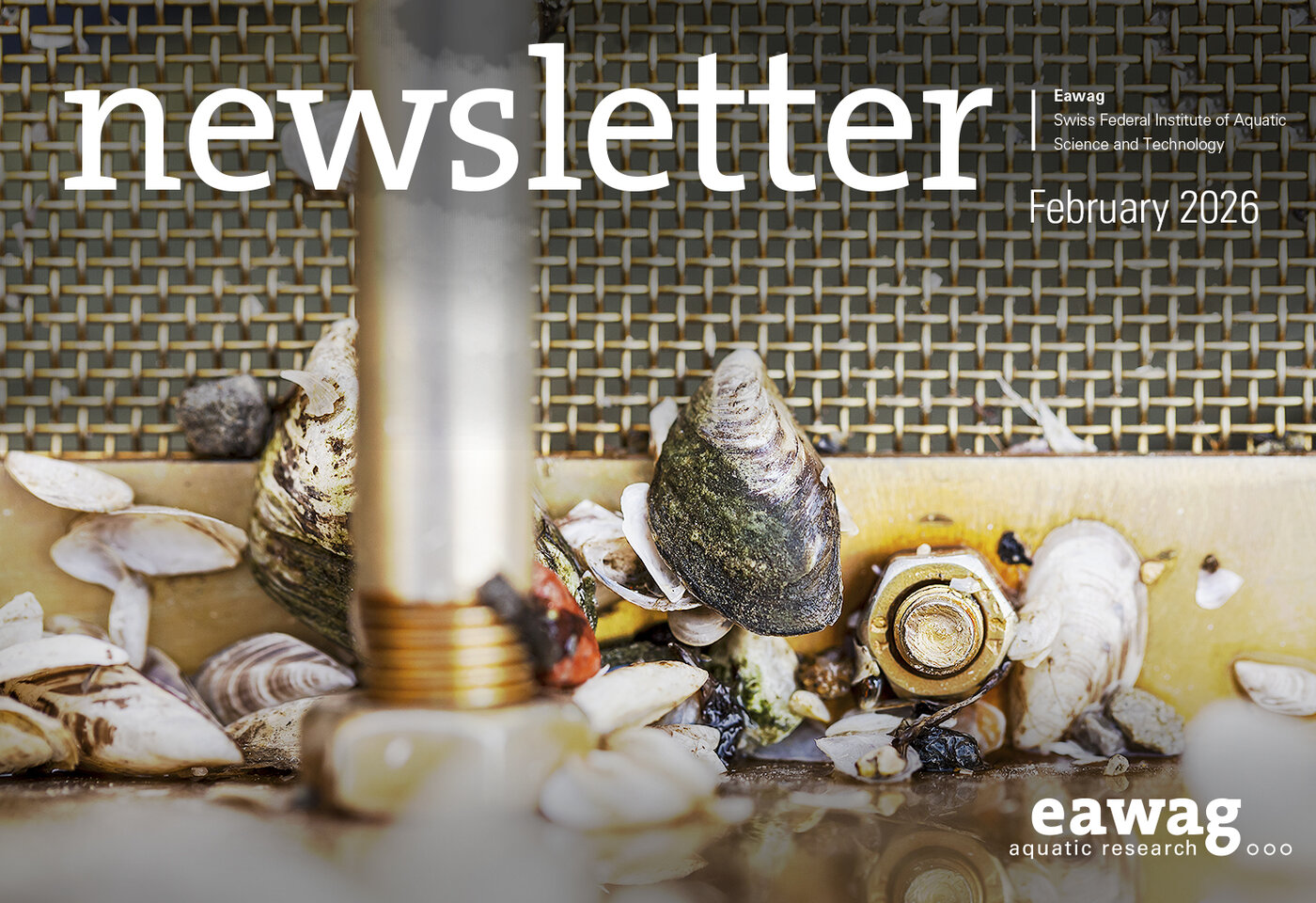 Titelbild: Techniker Andreas Taverna und Technikerin Danina Schmidt von der Eawag-Forschungsabteilung Fischökologie und Evolution in Kastanienbaum nehmen vom Eawag-Forschungsschiff «Perca» aus Wasserproben im Vierwaldstättersee. Dafür senken sie eine Schröderflasche langsam auf 20 Meter ab und ziehen sie rasch wieder hoch. Dabei sammelt sich pro Meter Wassertiefe eine definierte Menge Wasser in der Flasche. Mit diesen Mischproben lassen sich zum Beispiel wichtige Daten zur Algenzusammensetzung erheben und somit die Produktivität des Sees analysieren. (Foto: Alessandro della Bella)  