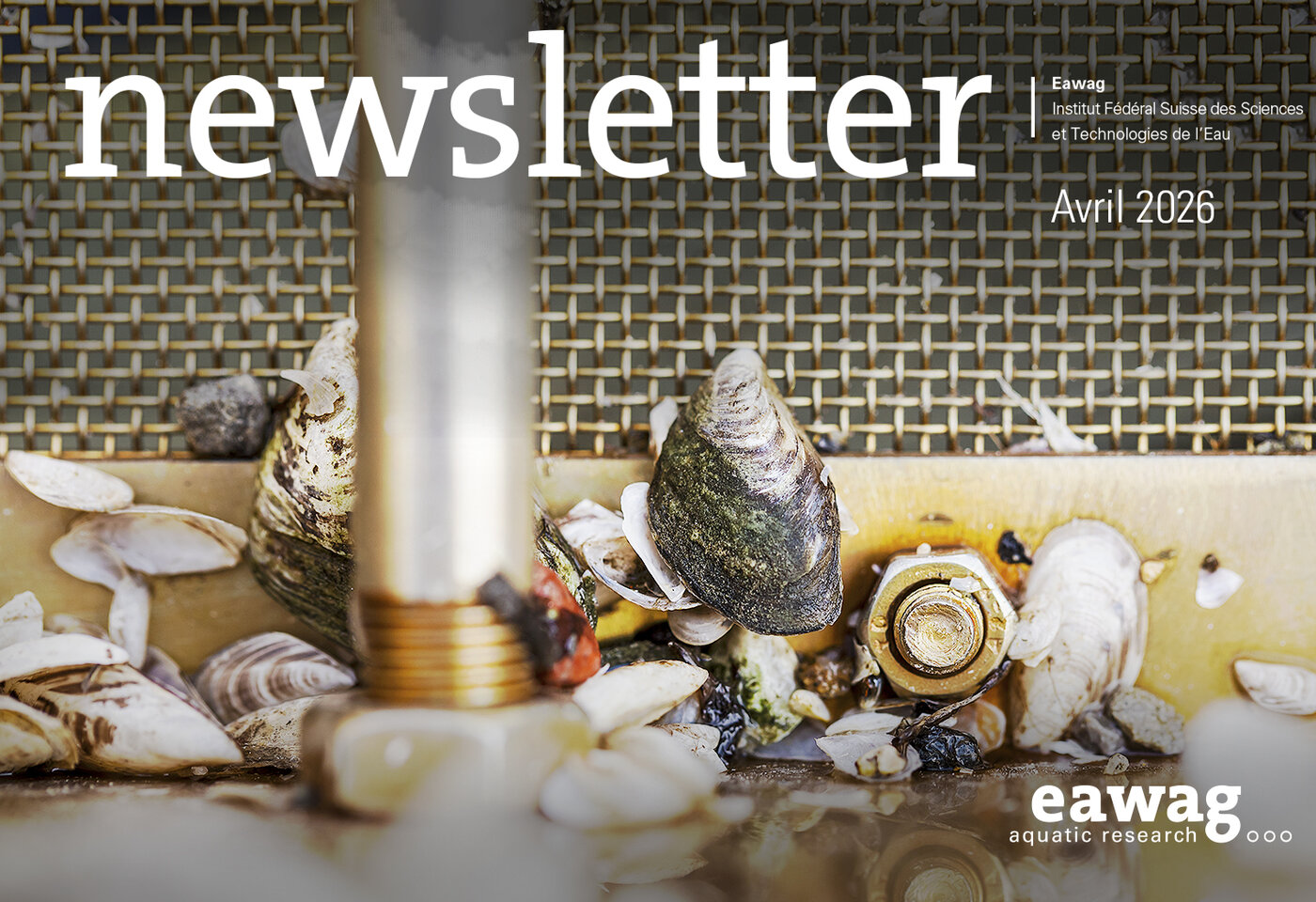 Titelbild: Techniker Andreas Taverna und Technikerin Danina Schmidt von der Eawag-Forschungsabteilung Fischökologie und Evolution in Kastanienbaum nehmen vom Eawag-Forschungsschiff «Perca» aus Wasserproben im Vierwaldstättersee. Dafür senken sie eine Schröderflasche langsam auf 20 Meter ab und ziehen sie rasch wieder hoch. Dabei sammelt sich pro Meter Wassertiefe eine definierte Menge Wasser in der Flasche. Mit diesen Mischproben lassen sich zum Beispiel wichtige Daten zur Algenzusammensetzung erheben und somit die Produktivität des Sees analysieren. (Foto: Alessandro della Bella)  