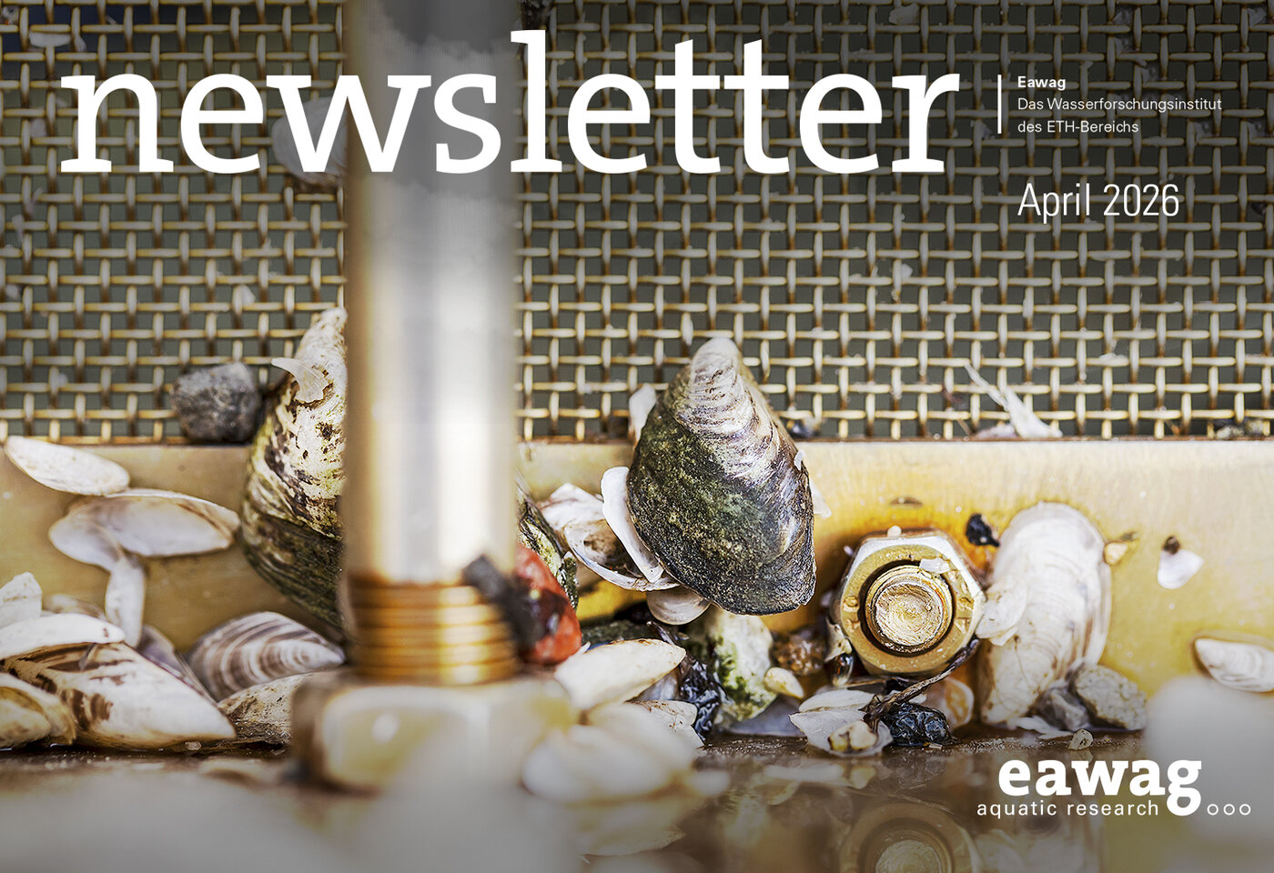 Titelbild: Techniker Andreas Taverna und Technikerin Danina Schmidt von der Eawag-Forschungsabteilung Fischökologie und Evolution in Kastanienbaum nehmen vom Eawag-Forschungsschiff «Perca» aus Wasserproben im Vierwaldstättersee. Dafür senken sie eine Schröderflasche langsam auf 20 Meter ab und ziehen sie rasch wieder hoch. Dabei sammelt sich pro Meter Wassertiefe eine definierte Menge Wasser in der Flasche. Mit diesen Mischproben lassen sich zum Beispiel wichtige Daten zur Algenzusammensetzung erheben und somit die Produktivität des Sees analysieren. (Foto: Alessandro della Bella)  