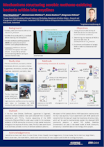 Methanoxidation im See